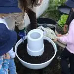 Mini Marines using a Composta brand Composter Unit